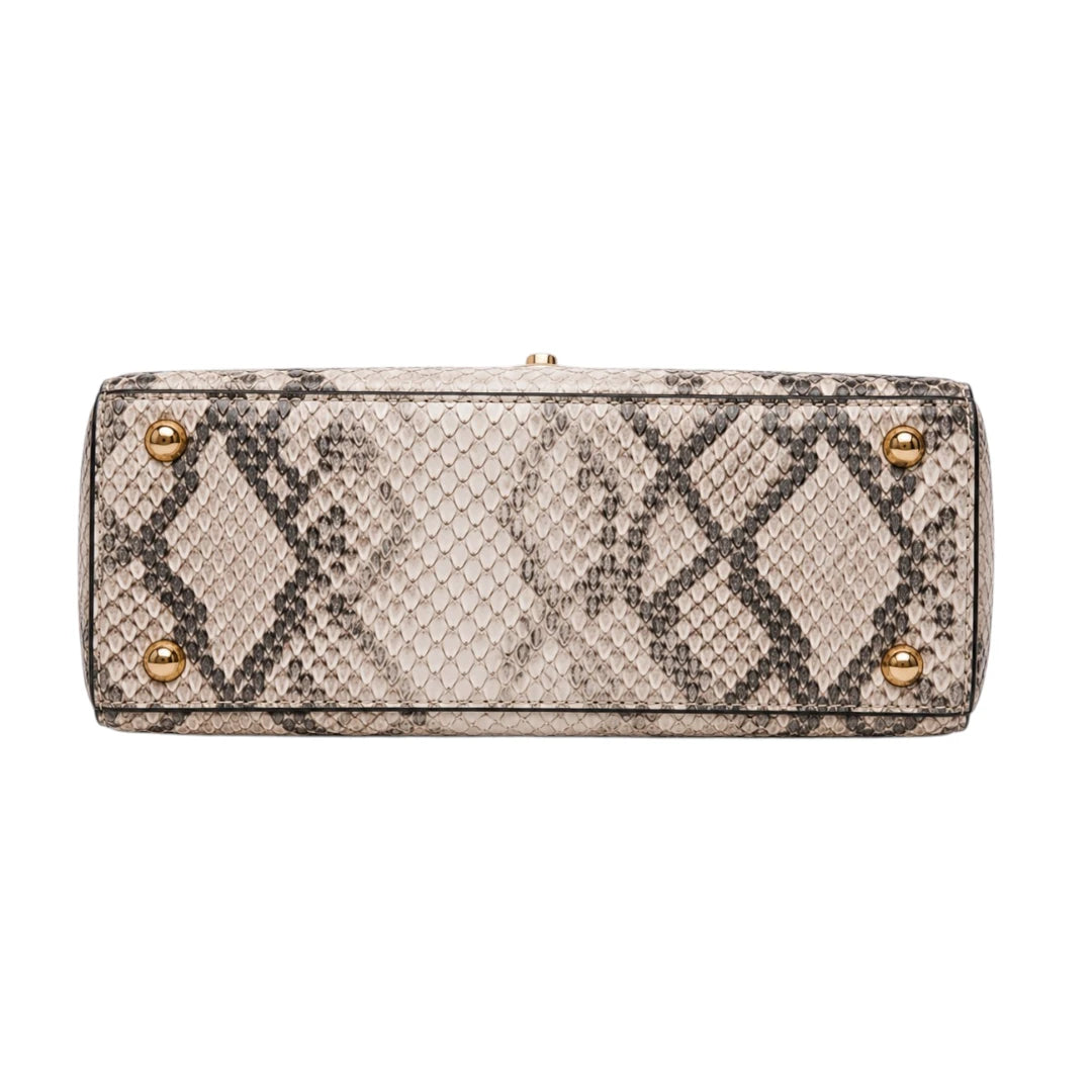 Bagmora Luxe Snake Print Chain Handbag for Women